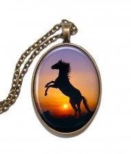 Halsband Brons Häst Solnedgång Horse Sunset