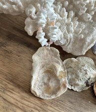 Handgjort sommarhalsband med vita snäckbitar, runda rosa opalpärlor och gnistrande Charlotte-slipade tjeckiska glaspärlor. Mittp