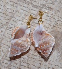 Mermaidcore statementörhängen med stora snäckor och 24K guldpläterade sjöstjärne-stift, boho strandstil.