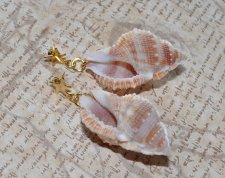 Mermaidcore statementörhängen med stora snäckor och 24K guldpläterade sjöstjärne-stift, boho strandstil.