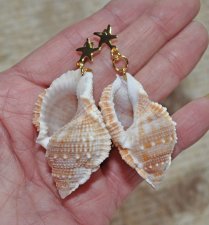 Mermaidcore statementörhängen med stora snäckor och 24K guldpläterade sjöstjärne-stift, boho strandstil.